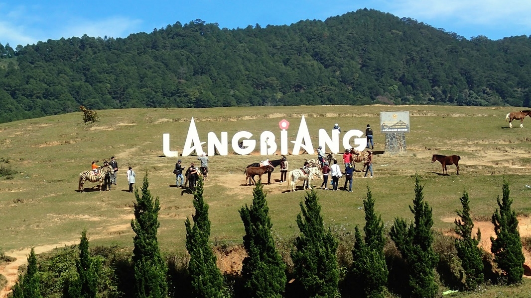 Du lịch Nha Trang